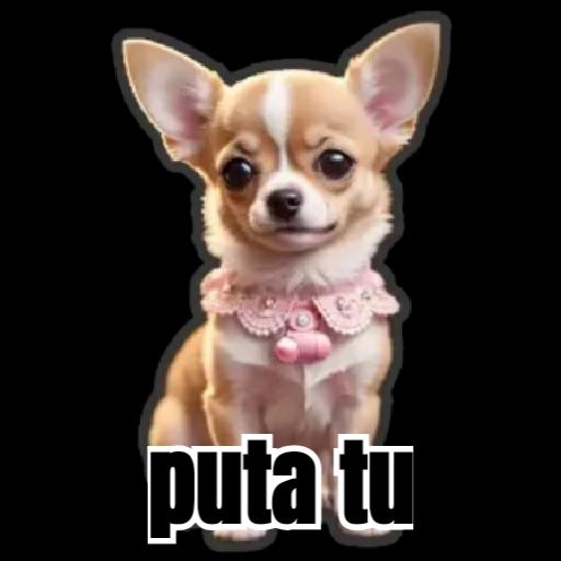 Brenda 