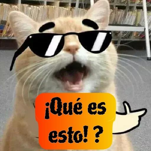 cuenta el