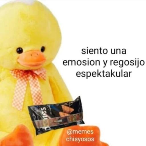 memes chisyosos 3