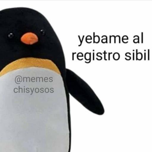 memes chisyosos 3