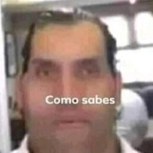 gatos gayy