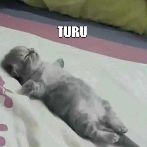 tu soalan ke cemburu