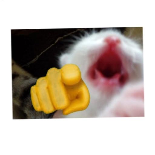 gatos 👍🏻