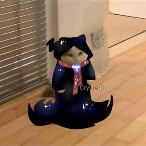 undertale cats