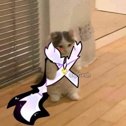 undertale cats