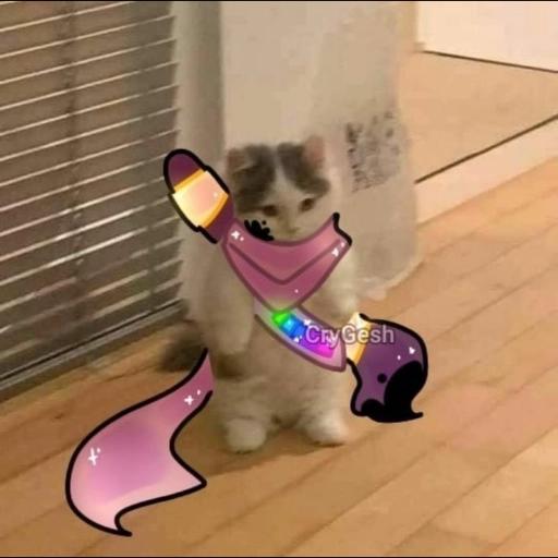 undertale cats