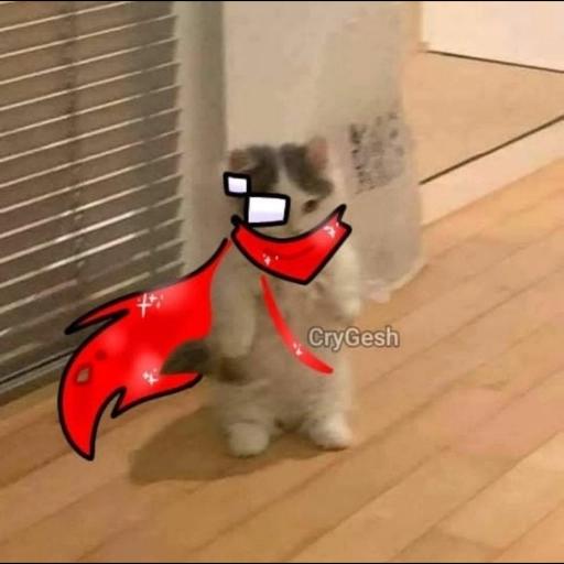 undertale cats