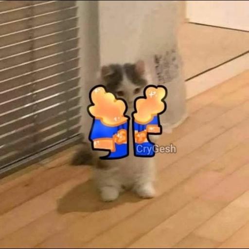 undertale cats