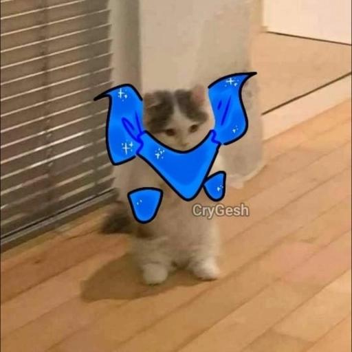 undertale cats