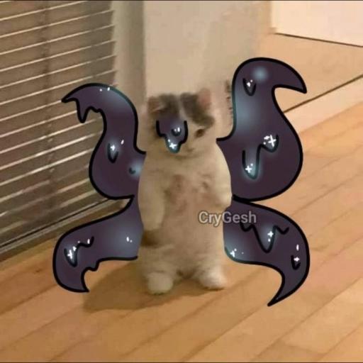 undertale cats