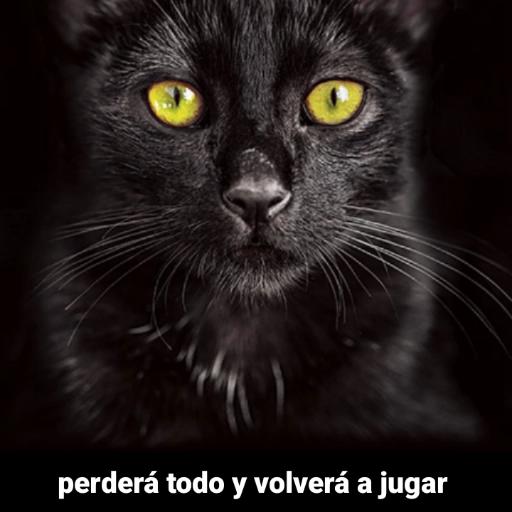 paqqq
