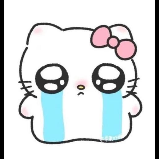 Kitty 
