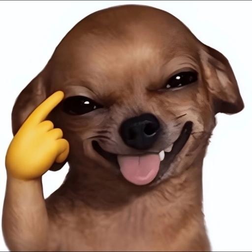 perritos
