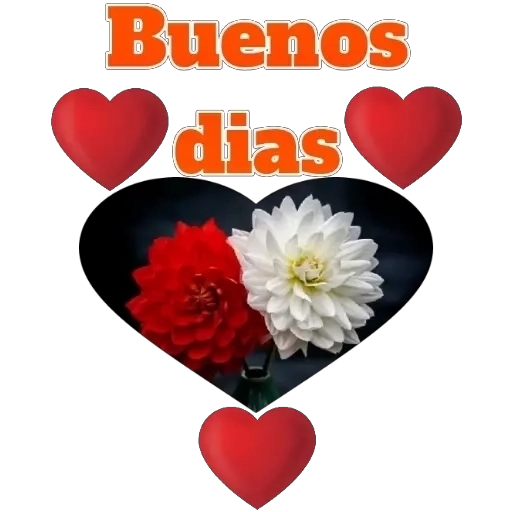 buenos dias