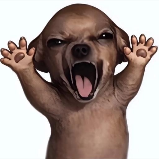 perritos