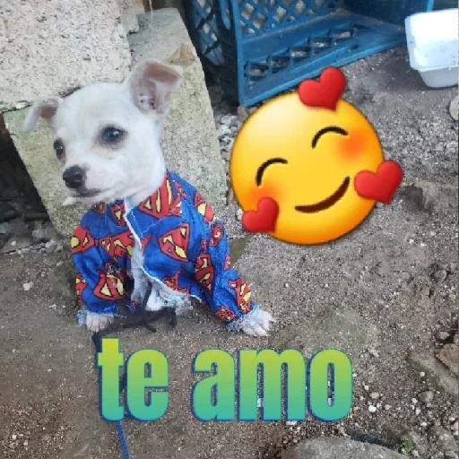 enterado 