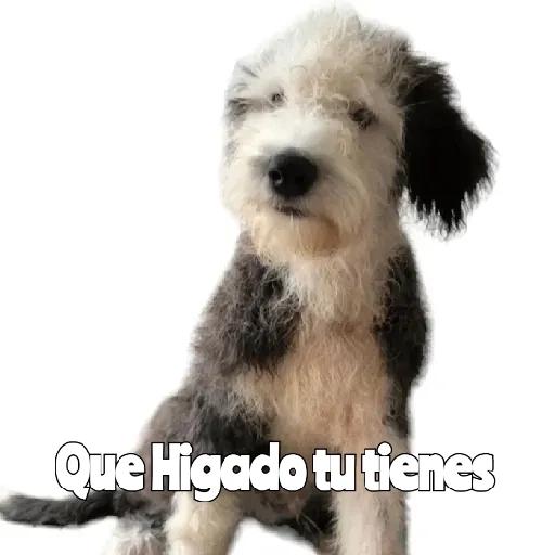 pegatinas 