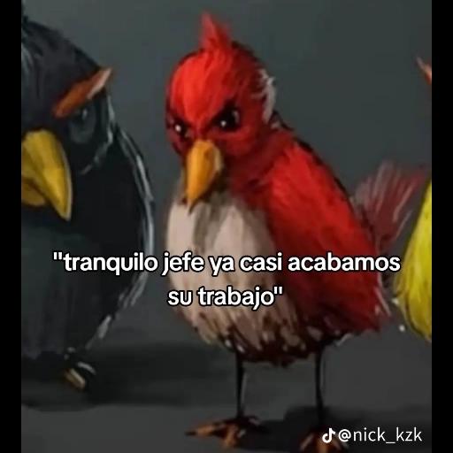 MEME CHAMBEAR