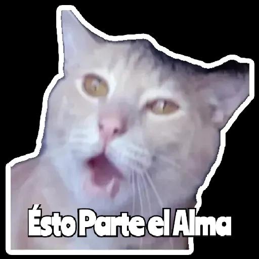 pegatinas 