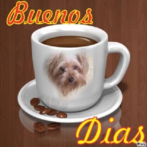 buen dia