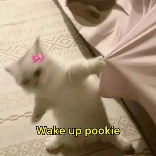 take it don't break it :(