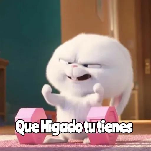 pegatinas 