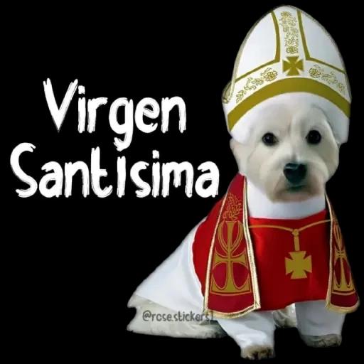 Hacia la Gran Vedad