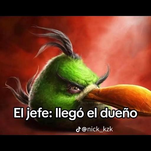 MEME CHAMBEAR
