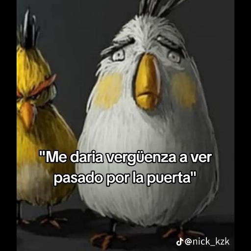 MEME CHAMBEAR