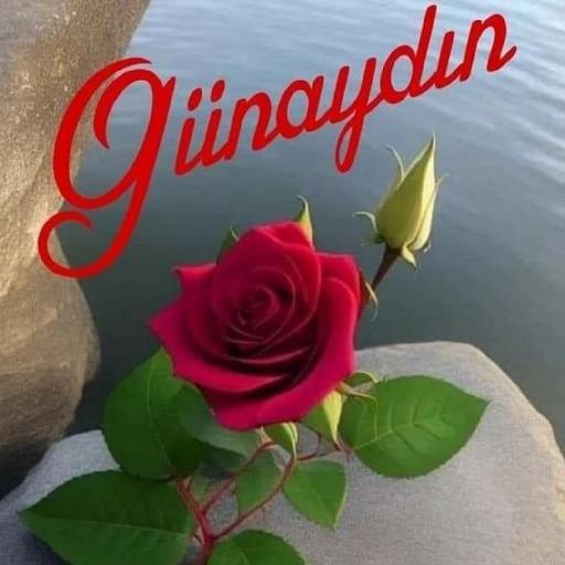 Günaydın