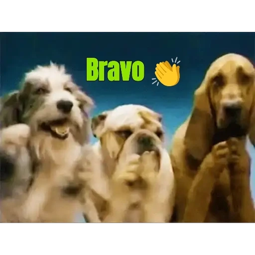 lalo