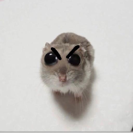 Sad Hamster