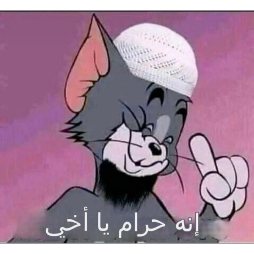 معقول هالكي..