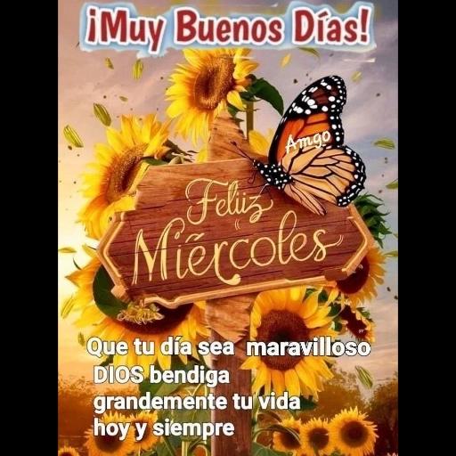 feliz dia