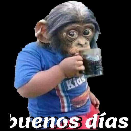 yo mero