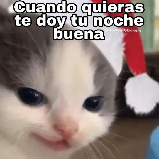 te espero bajo me arbolito