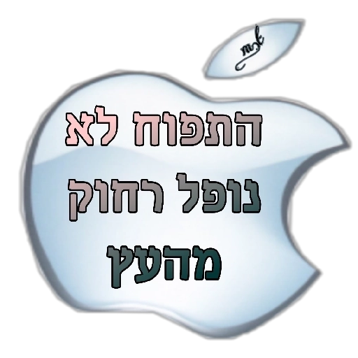 חחחחח
