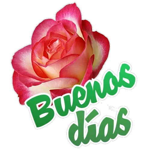 abrazo del alma