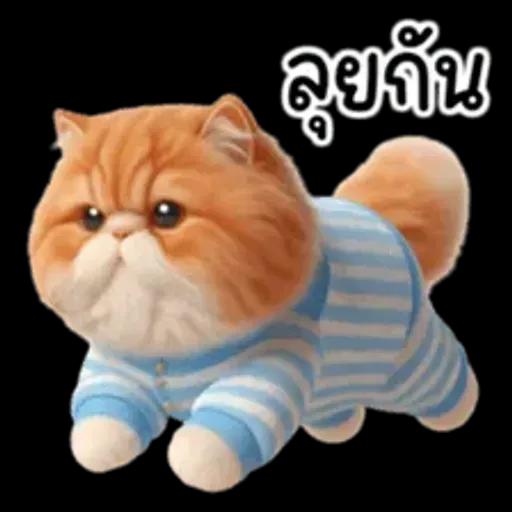 แมวขี้โมโหในชุดนอนสีอ่อน