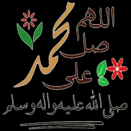 cc31886d051b823c638e2ee1e9d763f4