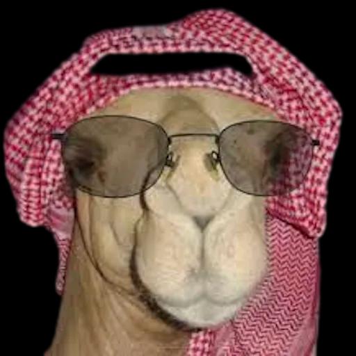 حبيبتي والله 3