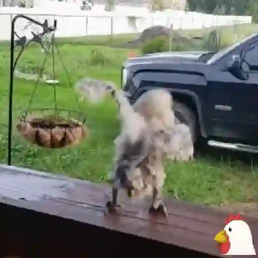 мои стикеры