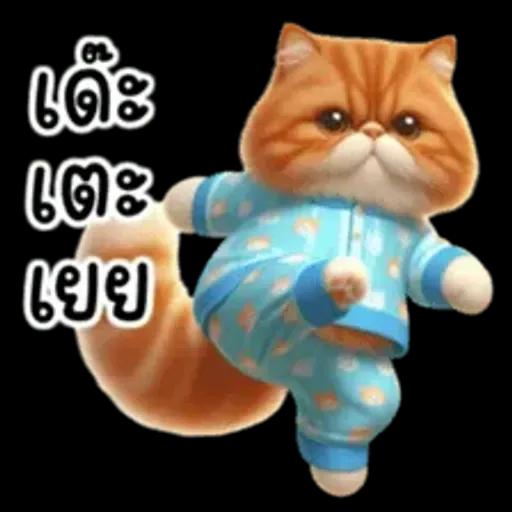 แมวขี้โมโหในชุดนอนสีอ่อน