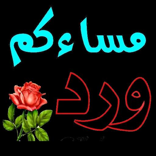 cc31886d051b823c638e2ee1e9d763f4