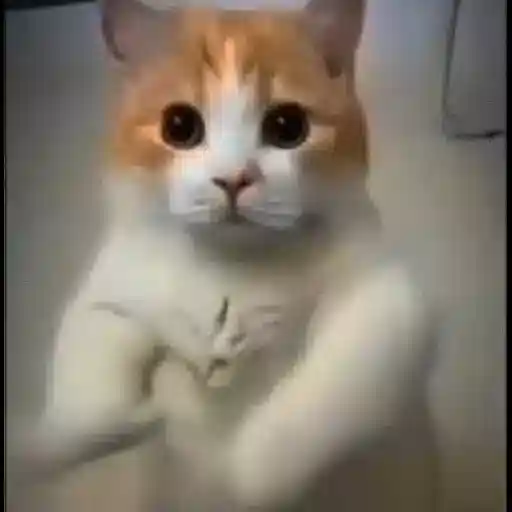 мои стикеры
