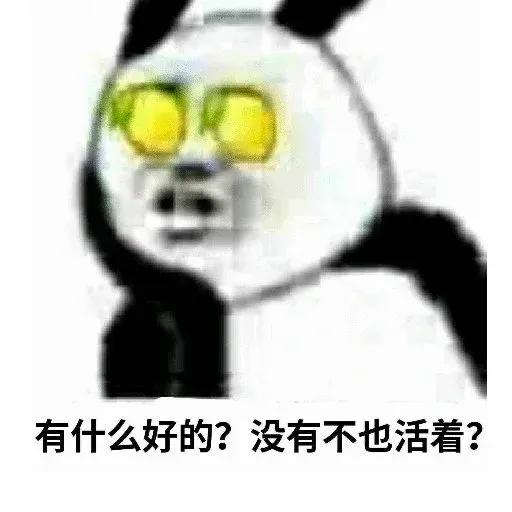 kk飞机会员 @kkhuiyuan