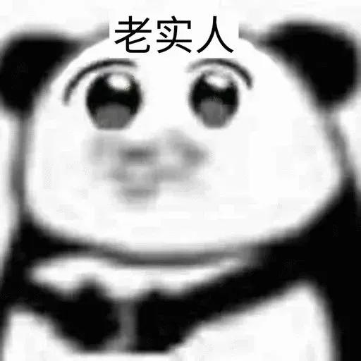 kk飞机会员 @kkhuiyuan
