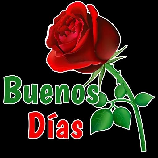 DIOS LOS BENDIGA