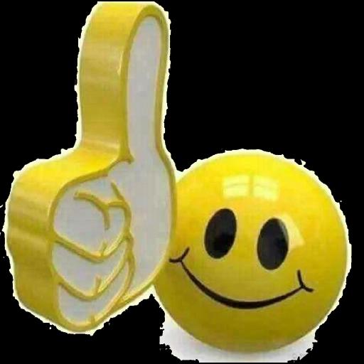 cc31886d051b823c638e2ee1e9d763f4