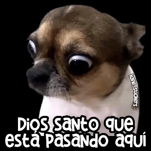 TE DESEO UN LINDO DIA